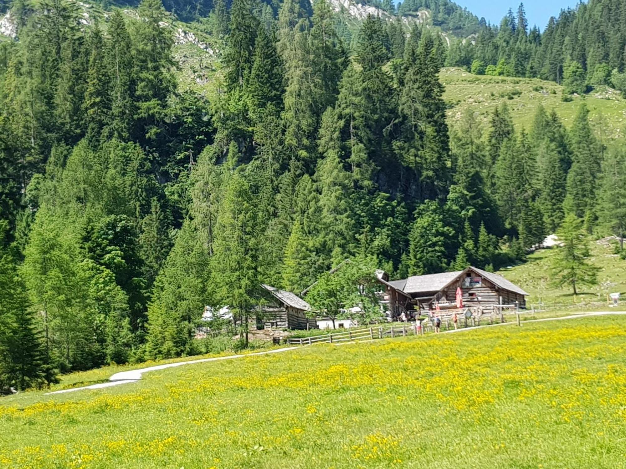 Ferienhaus Kahr Appartment Rossbrand Radstadt Εξωτερικό φωτογραφία